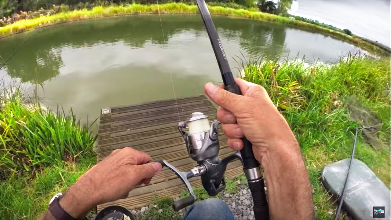 Fishing with BACON & EGG