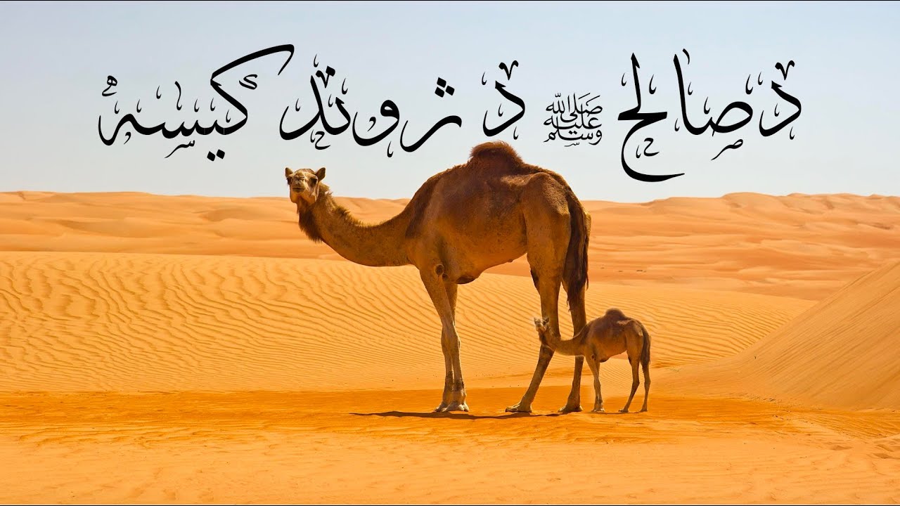 د صالح علیه سلام د ژوند کیسه - قصص الأنبياء پښتو (۶ برخه)  Qisas al anbiya pashto