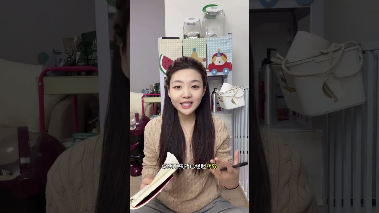 狗狗疫苗接种与驱虫全攻略：守护你的宠物健康