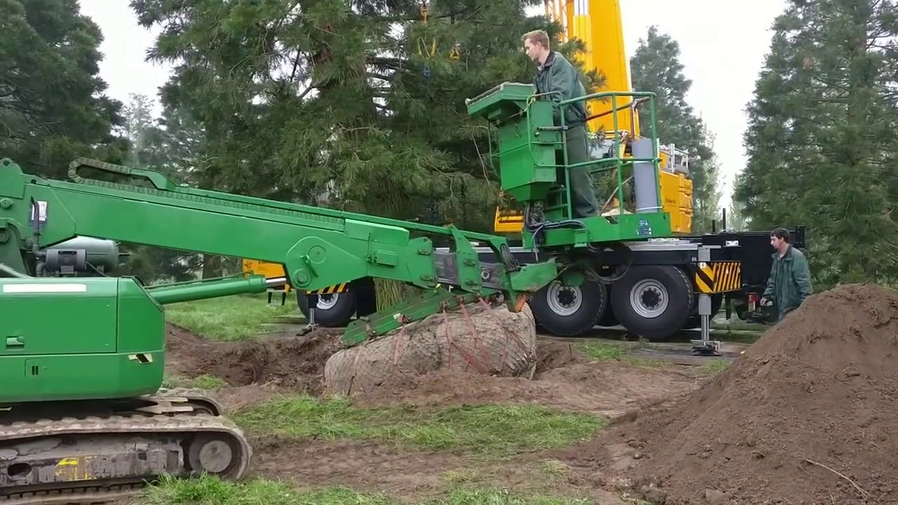 The lifting of large trees remains... - Van den Berk Nurseries Скачать
