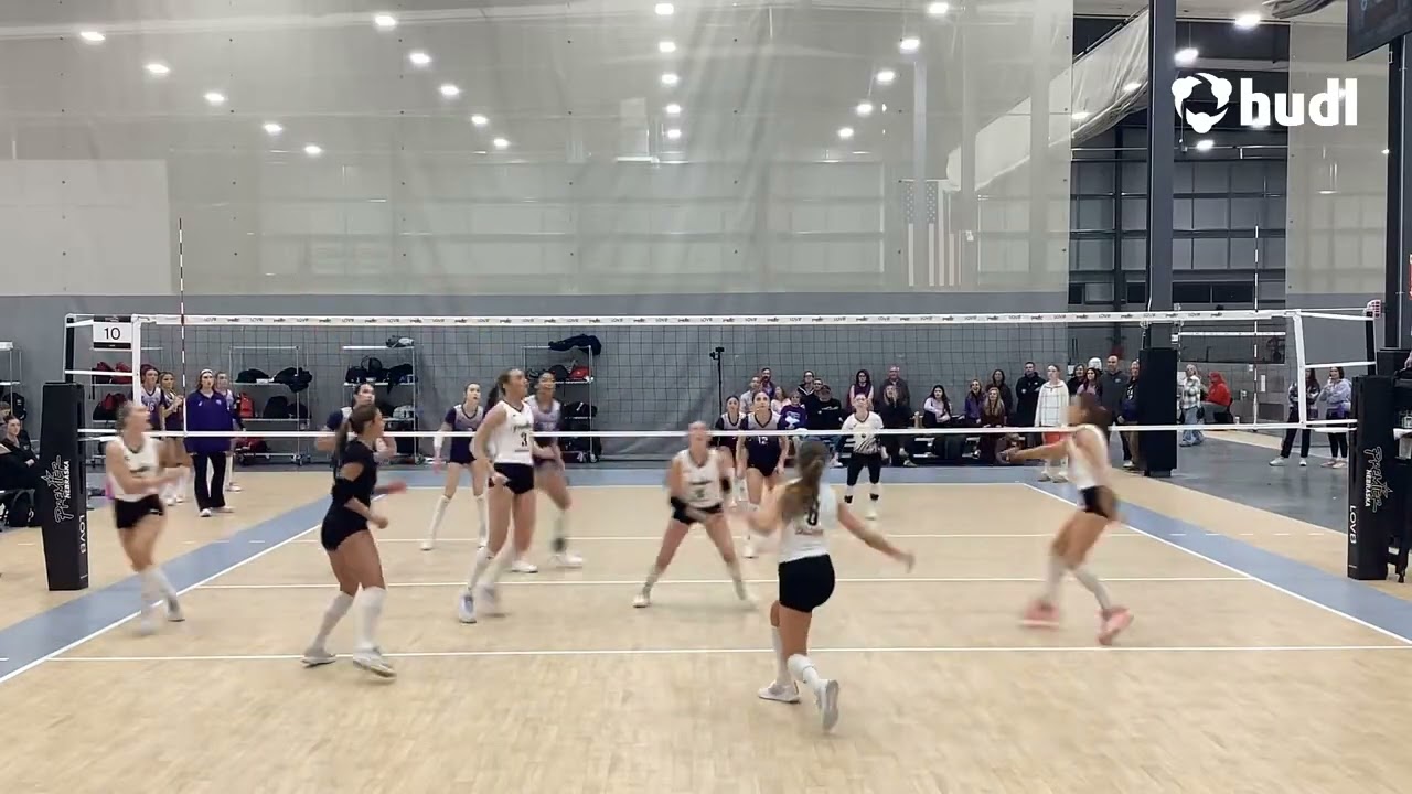 Gold Series Highlights 1.25.26