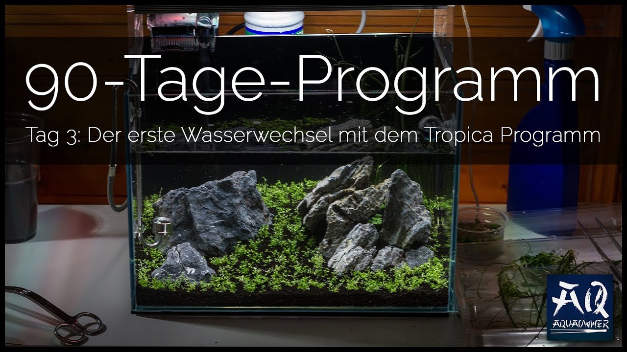 Tag 3 (Tropica 90-Tage-Programm): Erster Wasserwechsel | AquaOwner