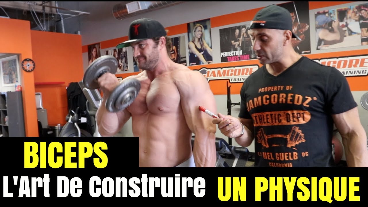 L'art de Construire Un Physique | Partie 3 | BICEPS