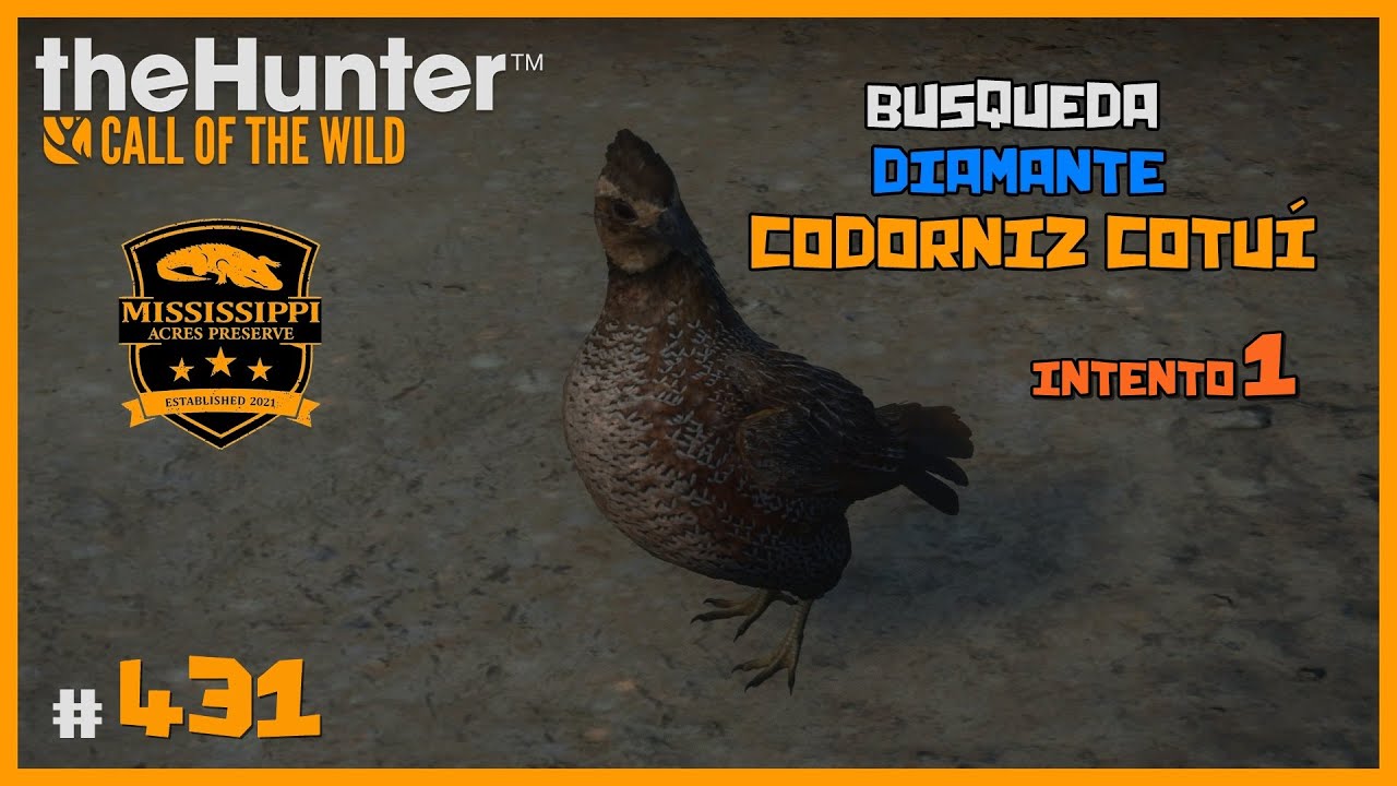 🦌theHunter: CotW #431 | NO ESTÁ MAL ESTO DE BUSCAR CODORNIZ EH :D | Español