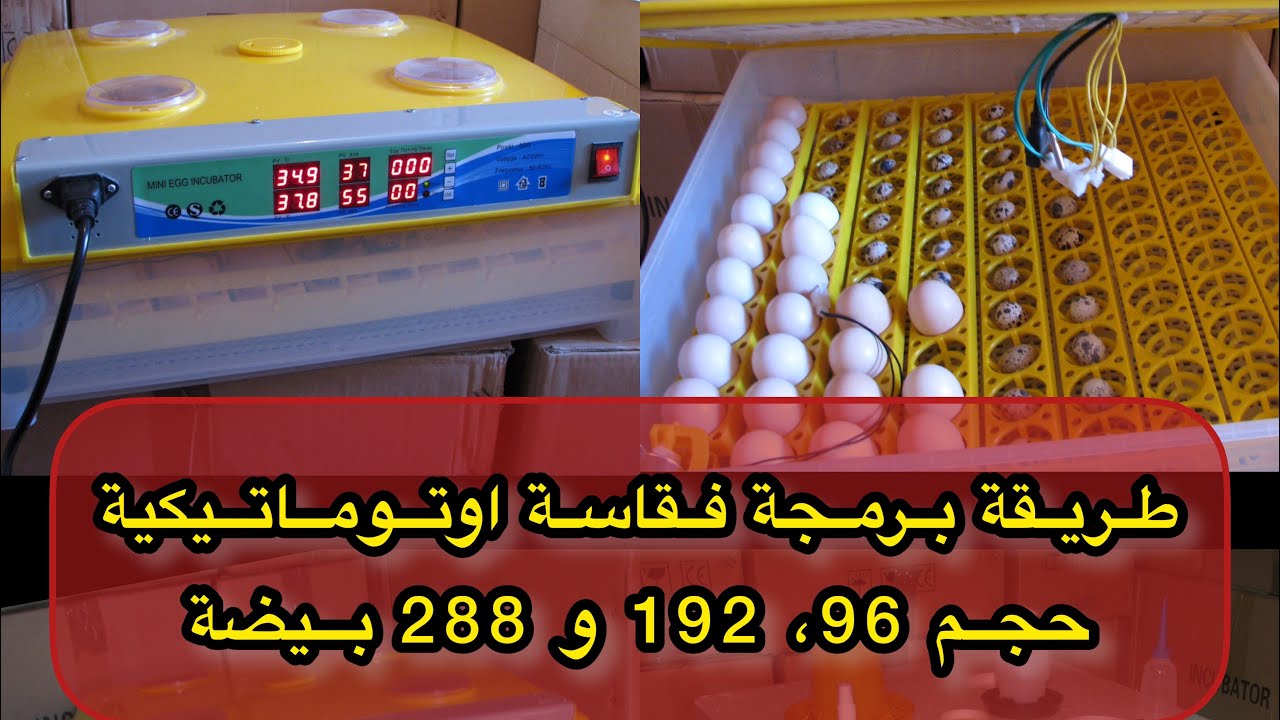 طريقة برمجة وتشغيل فقاسة البيض اوتوماتيكية 96 بيضة. مشروع مربح بإذن الله