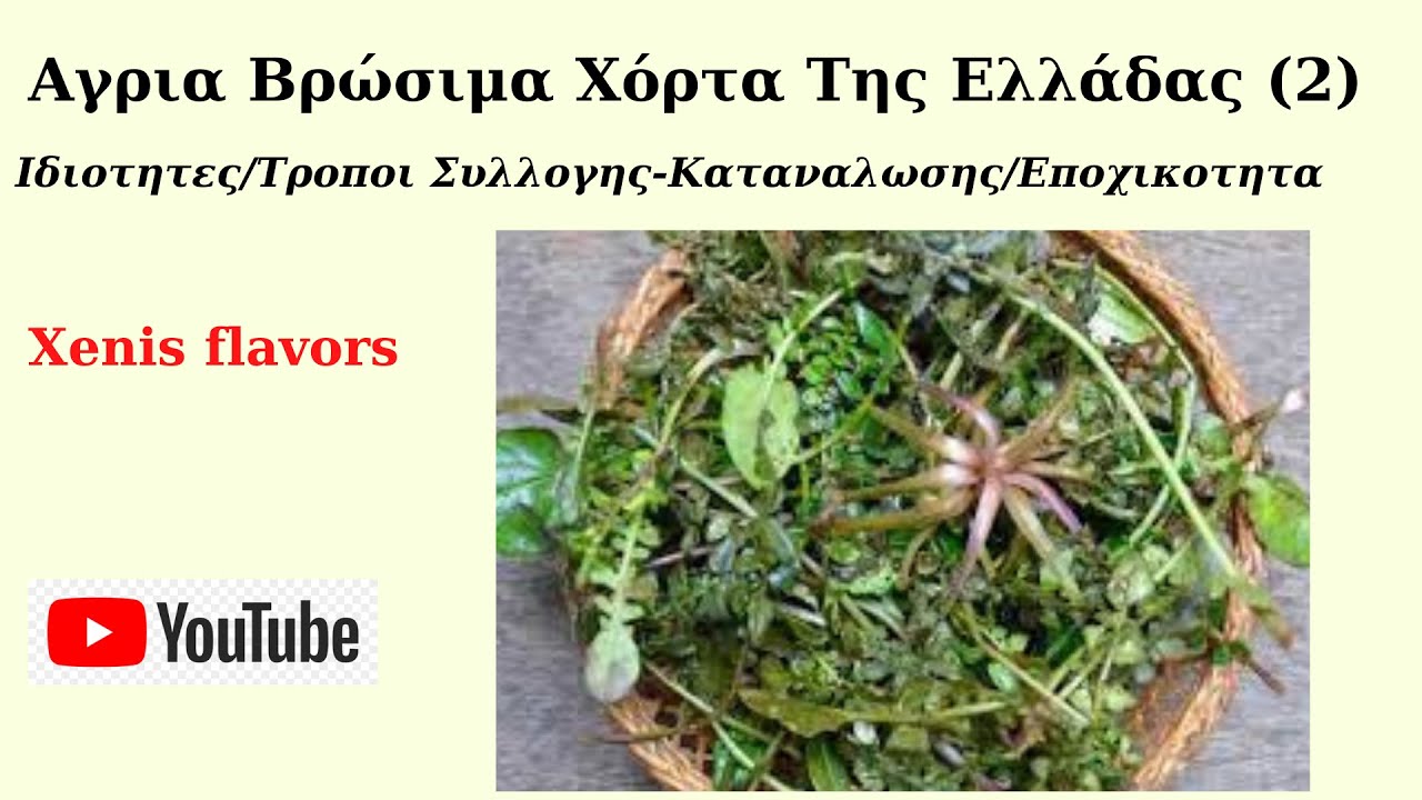Αγρια Βρώσιμα Χόρτα Eλλάδας (2). Ιδιότητες/Συλλογή/Καταναλωση/Εποχικότητα! Xenis flavors