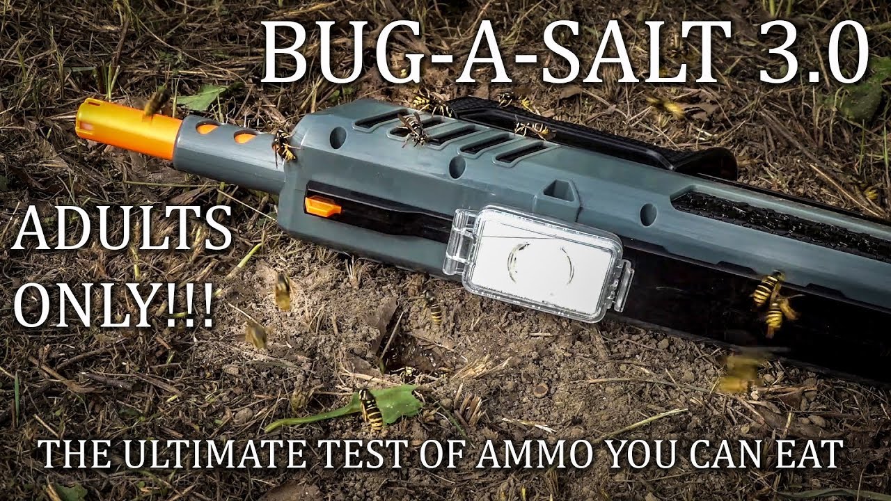 Bug-A-Salt 3.0 Black Fly Edition Bug Assault with Yellow Jacket Wasps DO NOT DO THIS! for flies only