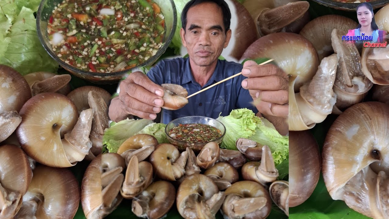 หอยเดื่อขมๆมาอีกแล้วกินกับแจ่วพริกสด