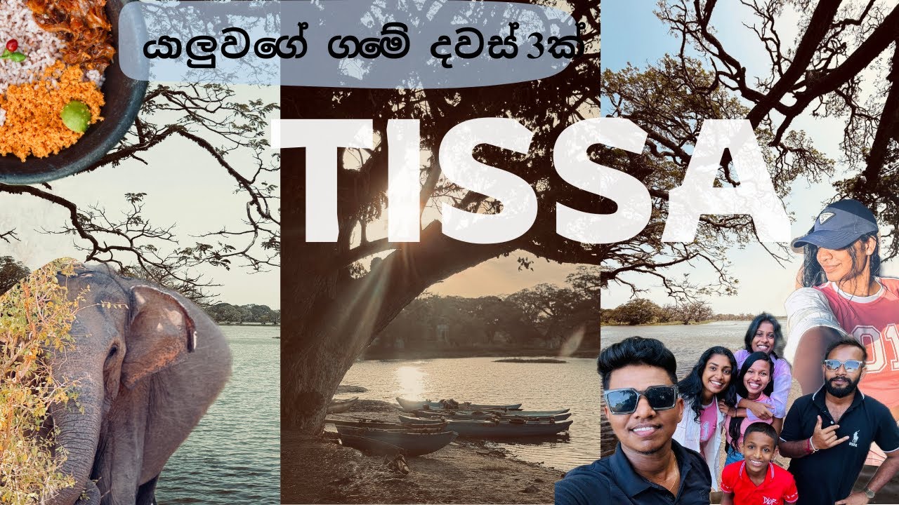 3 Days in Tissamaharama 🛕 | Yala Safari & Tissa Wewa Vibes 🍃🛖 | #yala #travel #tissamaharama #tissa
