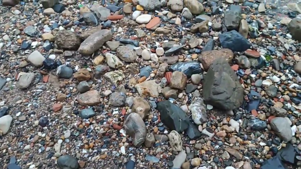 Her bir bakışta, her bir temaşe bir tefekkür 