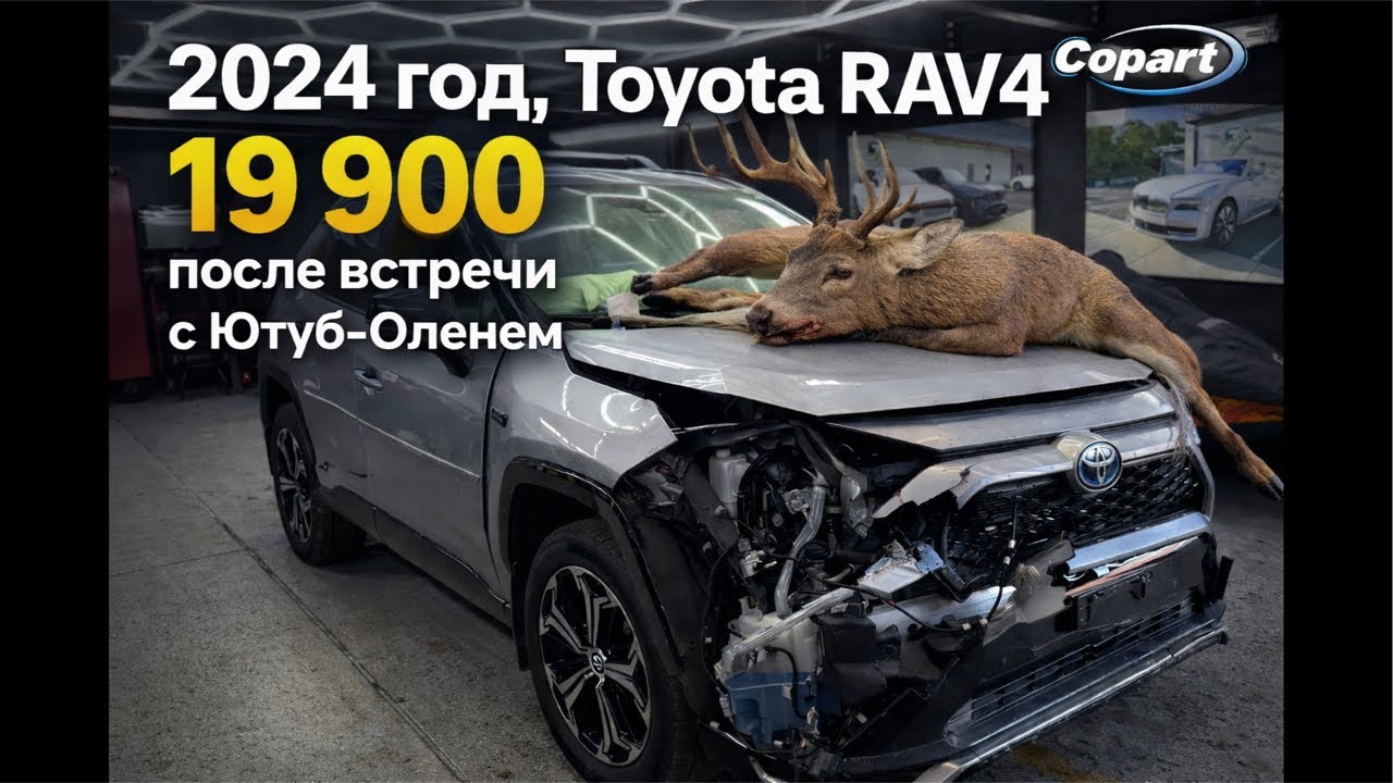 Авто из США . $19.900 за битый 2024 Рафик плагин гибрид.