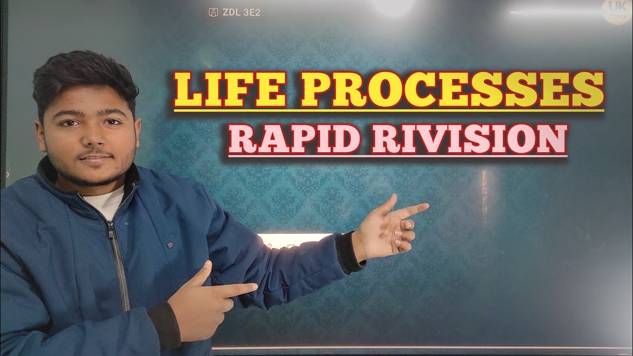 LIFE PROCESSES respiration life process class 10 biology
