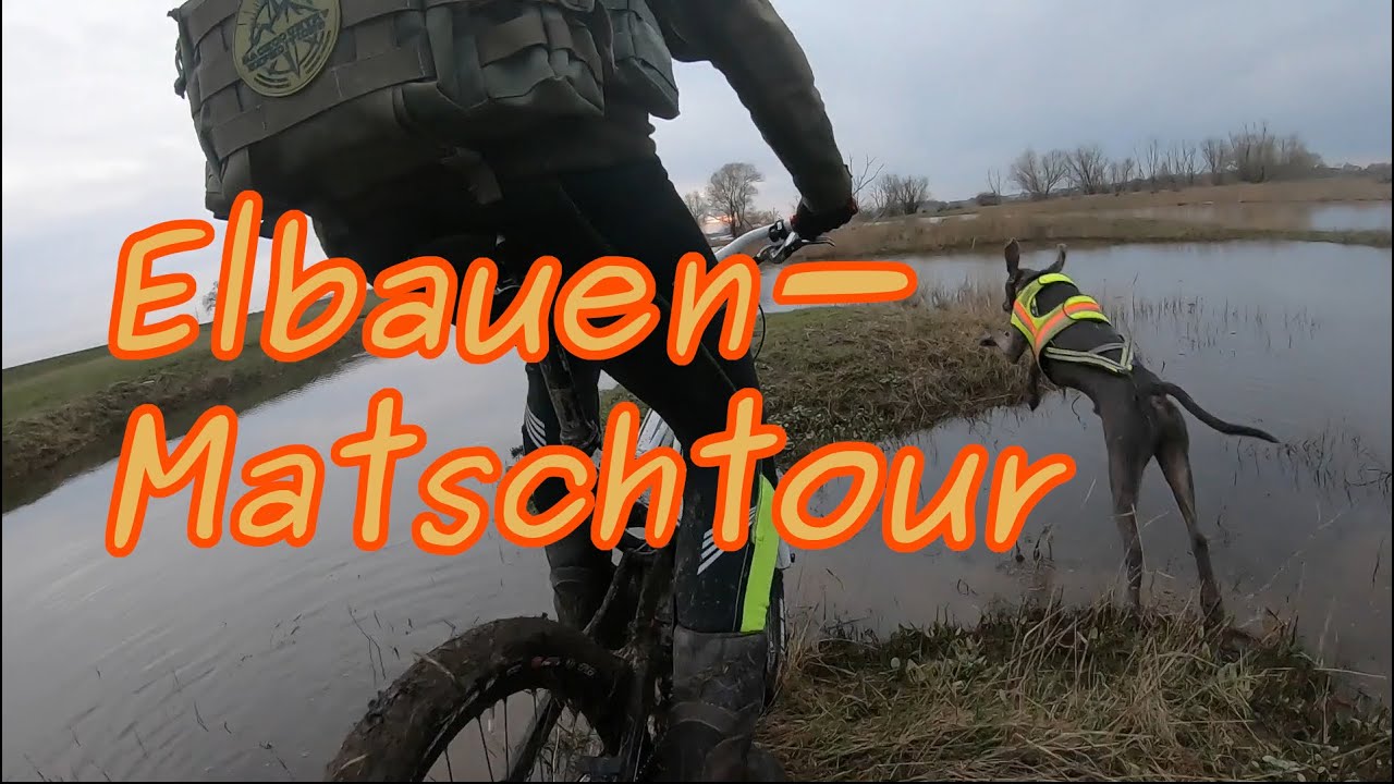 Elbauen-Matsch | Scott Ransom 2009 mit Maxxis High Roller und Weimaraner Ilai an der Hochwasser-Elbe