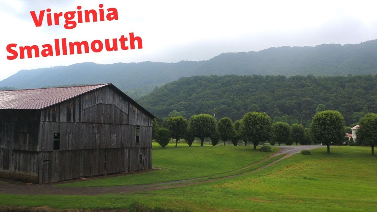 Fishing the Virginia Mountains for Smallmouth Bass