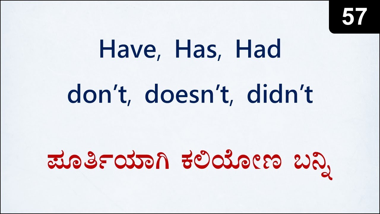 How to use HAVE, HAS, HAD, Don't, Doesn't | Spoken English - 57