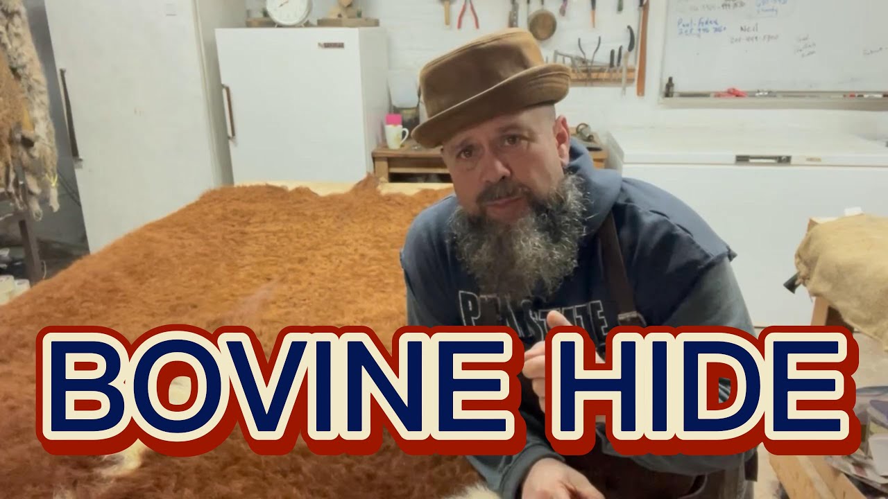 Prepping and tanning a MASSIVE bovine hide! | Taxidermy Tales