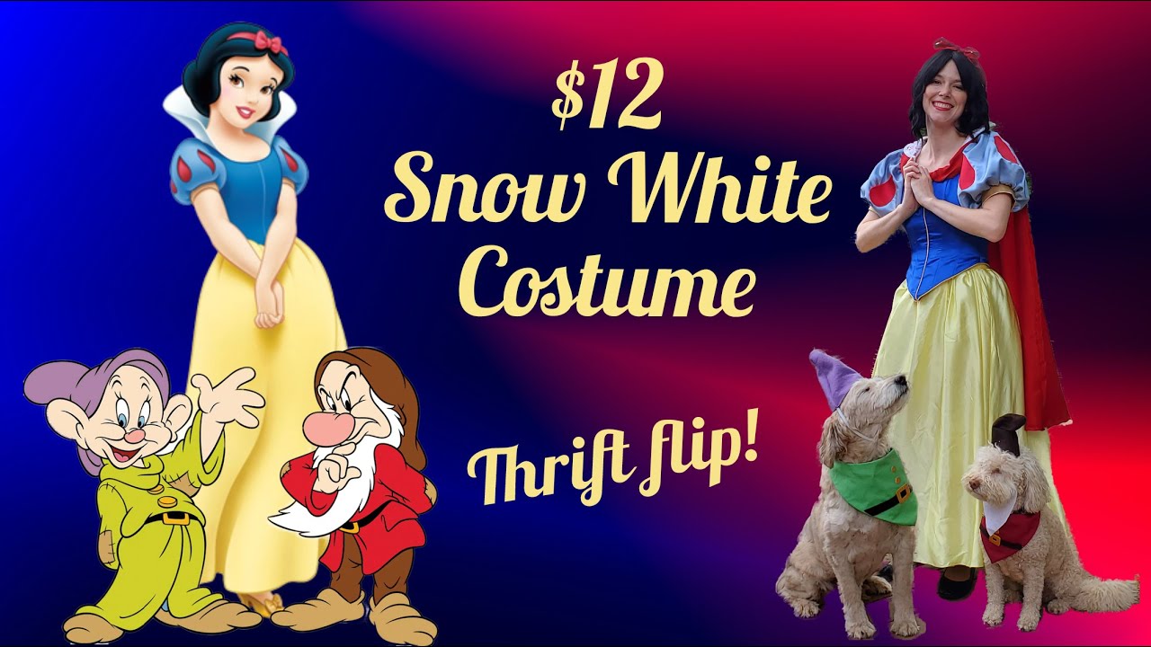Snow White Dress for $12 as a Thrift Flip Halloween Costume - Live Action Snow White Dress