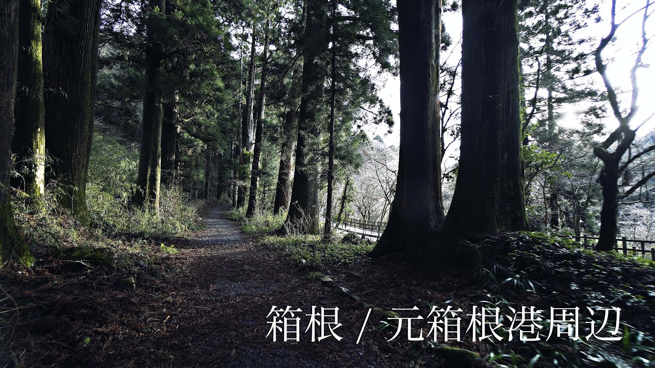 【4K】箱根 / 元箱根港周辺, Motohakone-ko Around Street View