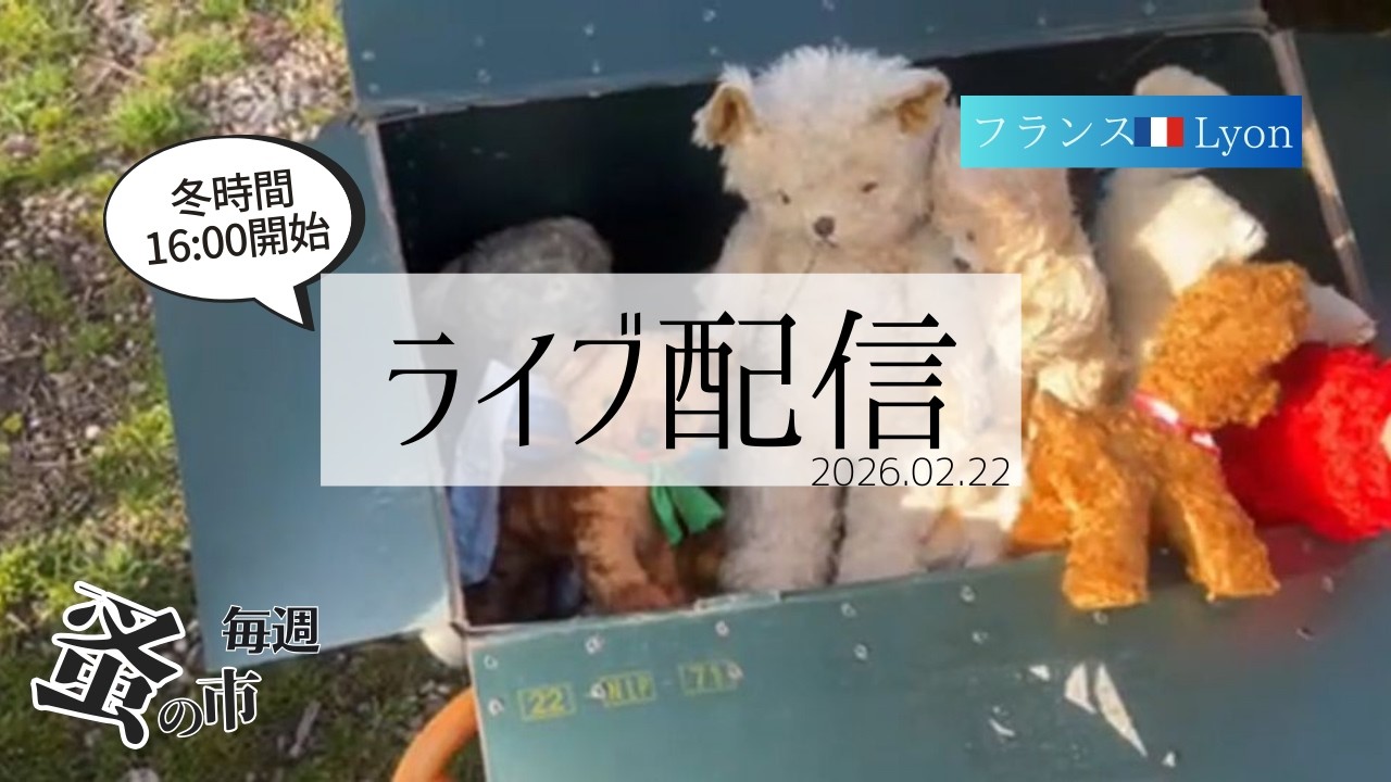 毎週蚤の市🇫🇷Lyonから 2026.02.22 Sunday Brocante in France vol.175