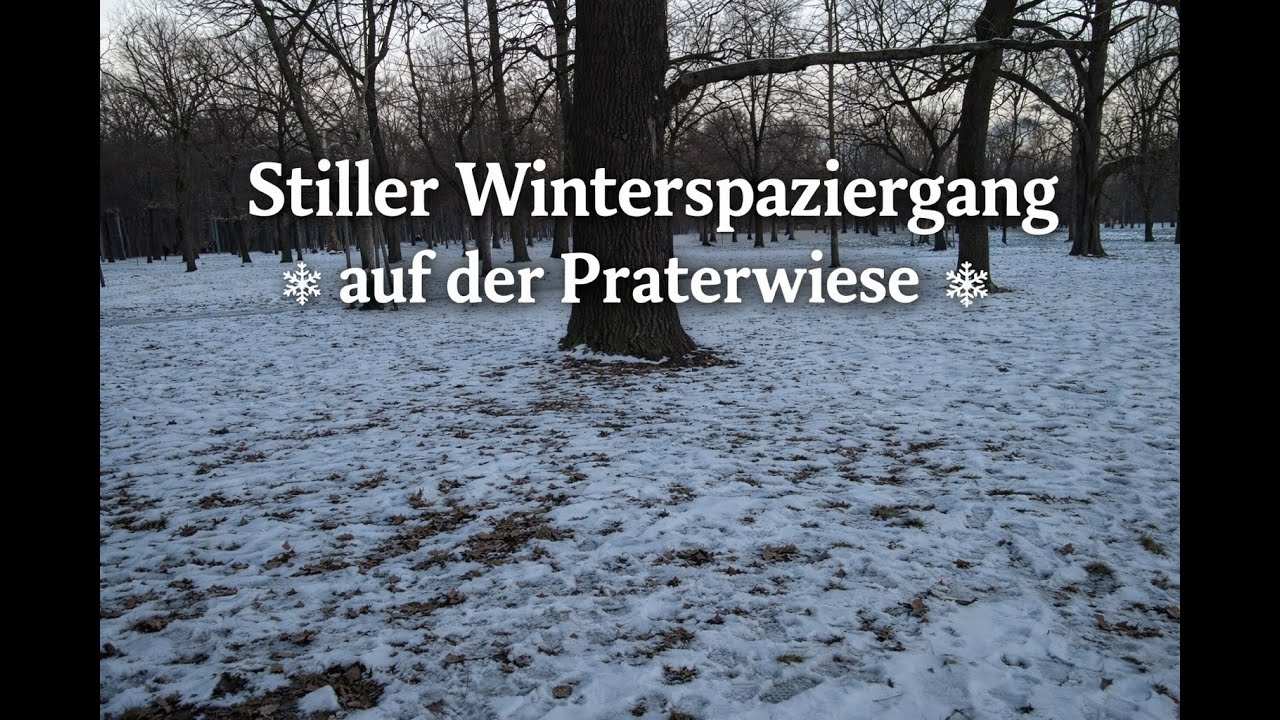 Stiller Winterspaziergang durch die Praterwiese ❄️ | Schnee, Ruhe & Natur in Wien