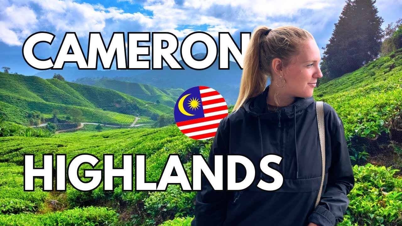🌿 Theeplantages van Cameron Highlands & Mossy Forest | Maleisië Reisvlog Nick & Lisa