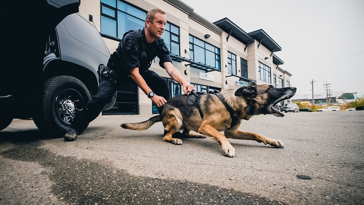 Vancouver Police - Join Us