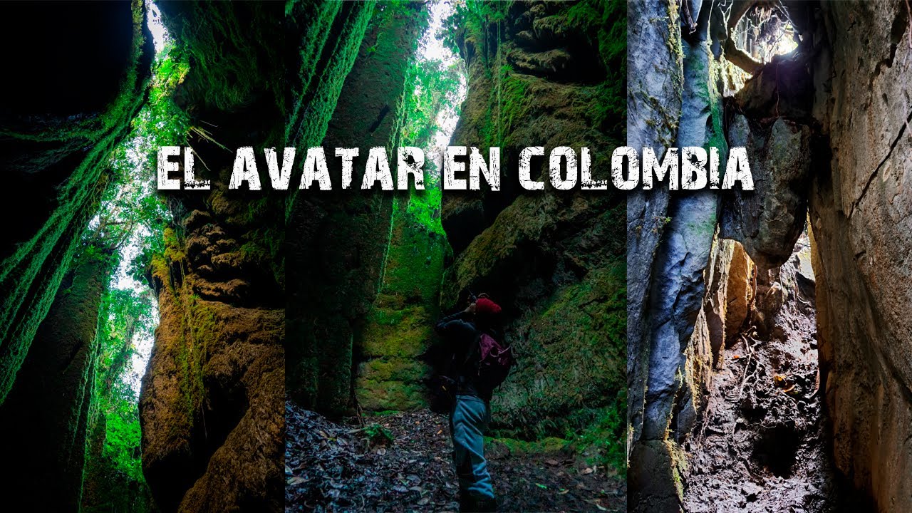 Conociendo el Avatar de Colombia😱 Pandora y Caverna de los Guácharos [El Peñon Santander]