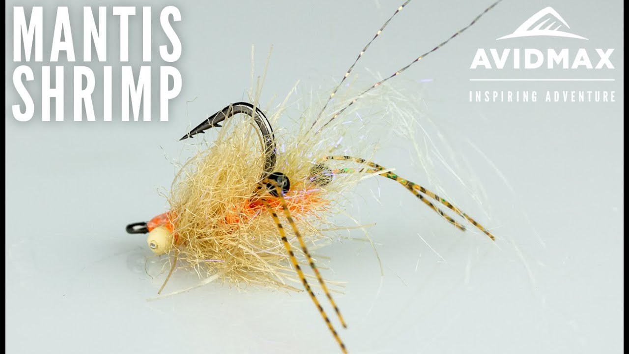 How to tie the EP Spawning Mantis Shrimp | Saltwater Flies | AvidMax Fly Tying Tuesday Tutorials