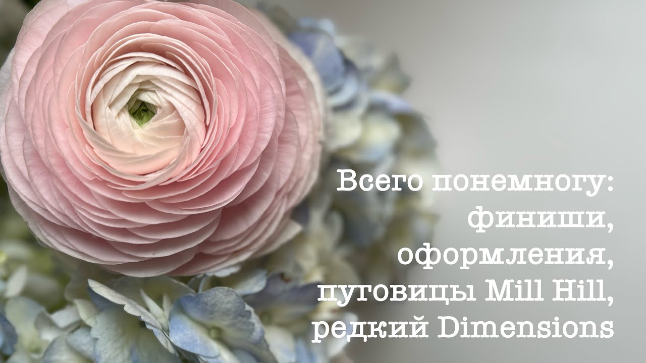 Всего понемногу: финиши, оформления, пуговицы Mill Hill, редкий Dimensions