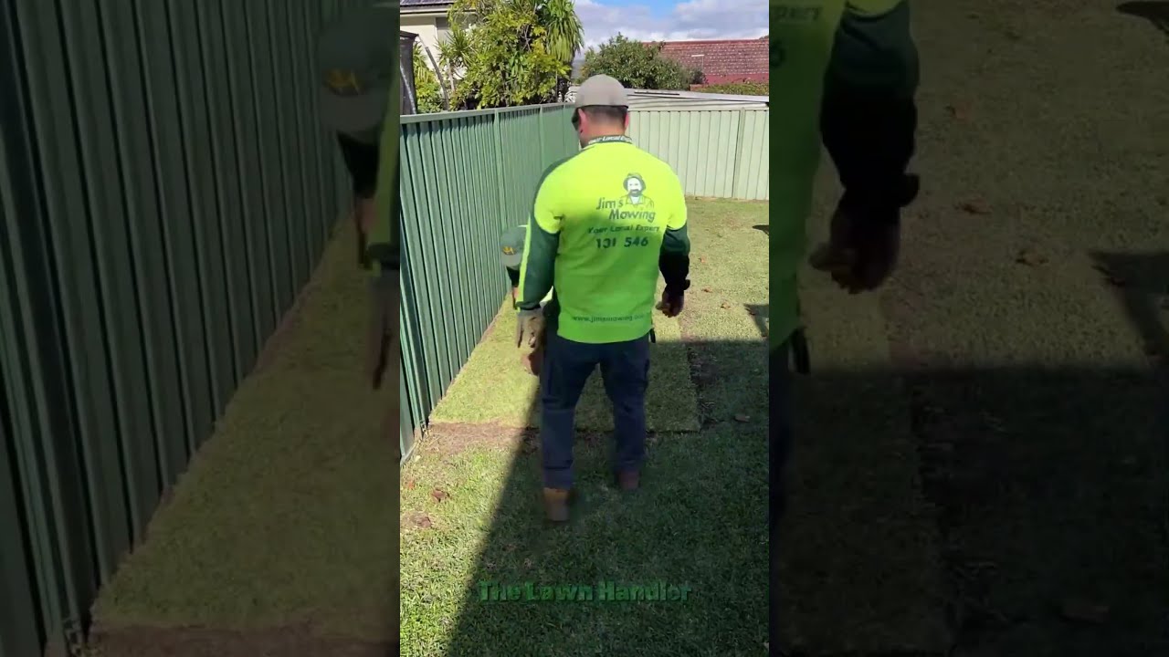 Lawn Care & Gardening Therapy 🌱 #shorts #satisfying #relaxing