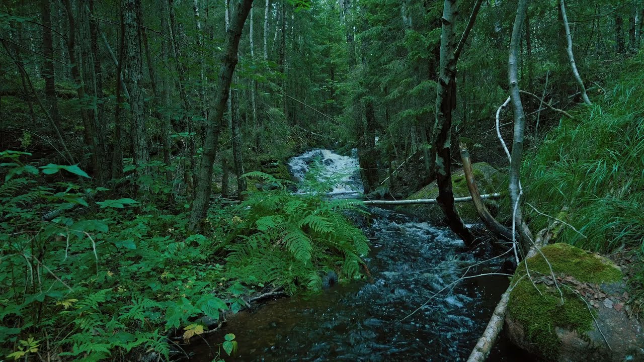 River and Mountain Waterfall. Water and Relaxing Nature Sounds For sleep, study and relaxation.