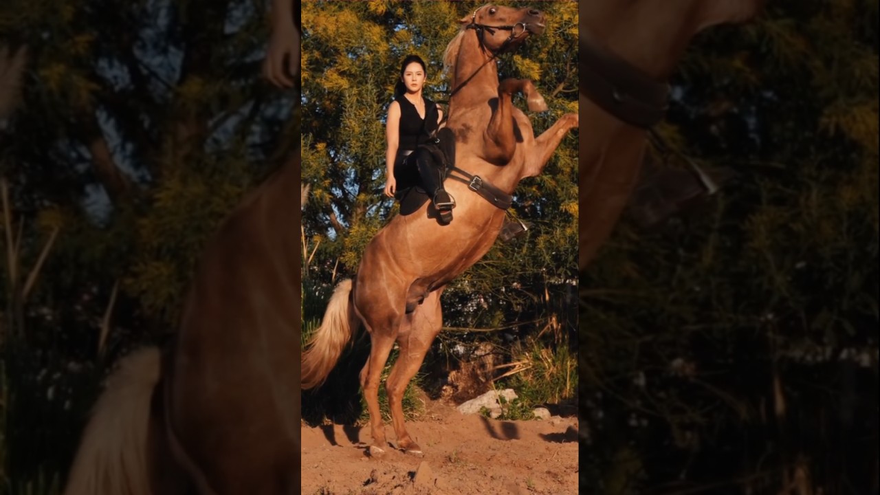 Most Dangerous Horse Stunts! 🤯🔥" 