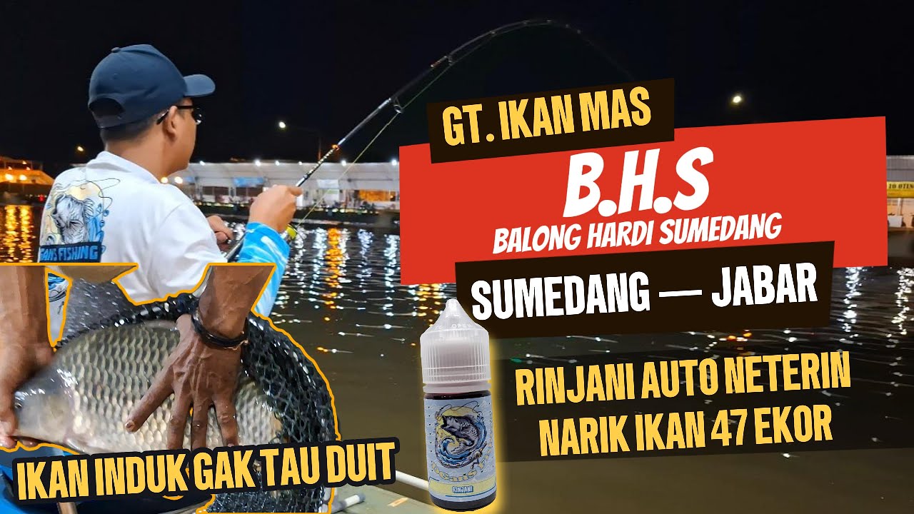 PEMANCINGAN GALATAMA IKAN MAS BHS (BALONG HARDI SUMEDANG)