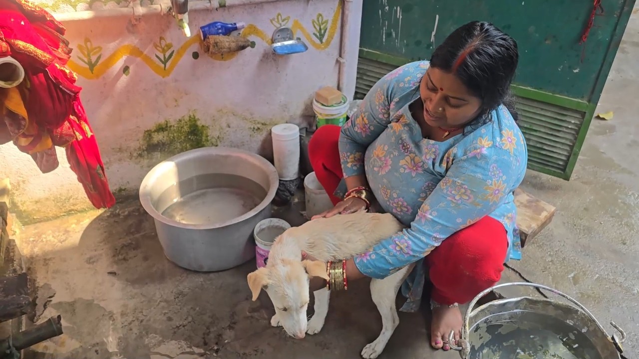 मम्मी ने आज इन सभी को नेहला दिया