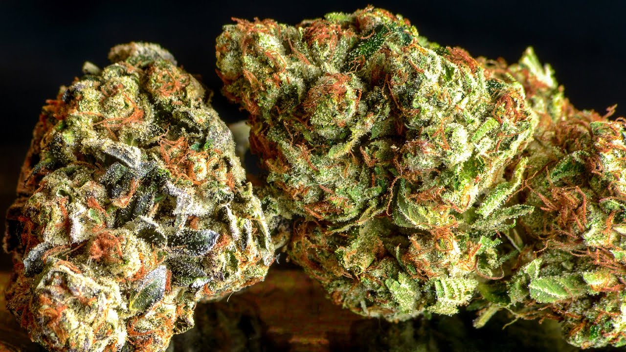 DANK WEED AND DANK DABS!