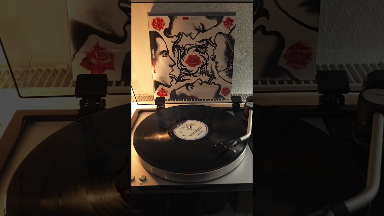 Red Hot Chilli Peppers - under the bridge 