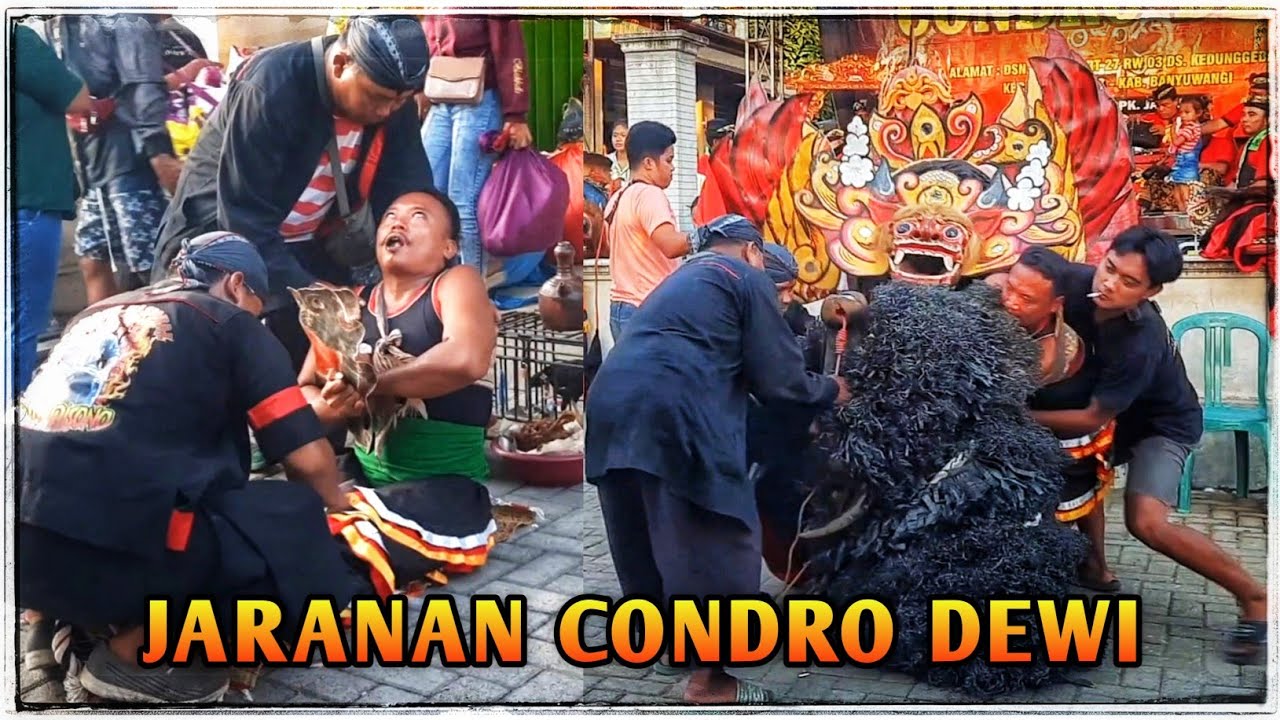 GEBYAR BARONG PREJENG, MACAN, BANTENG - PENUTUP JARANAN CONDRO DEWI