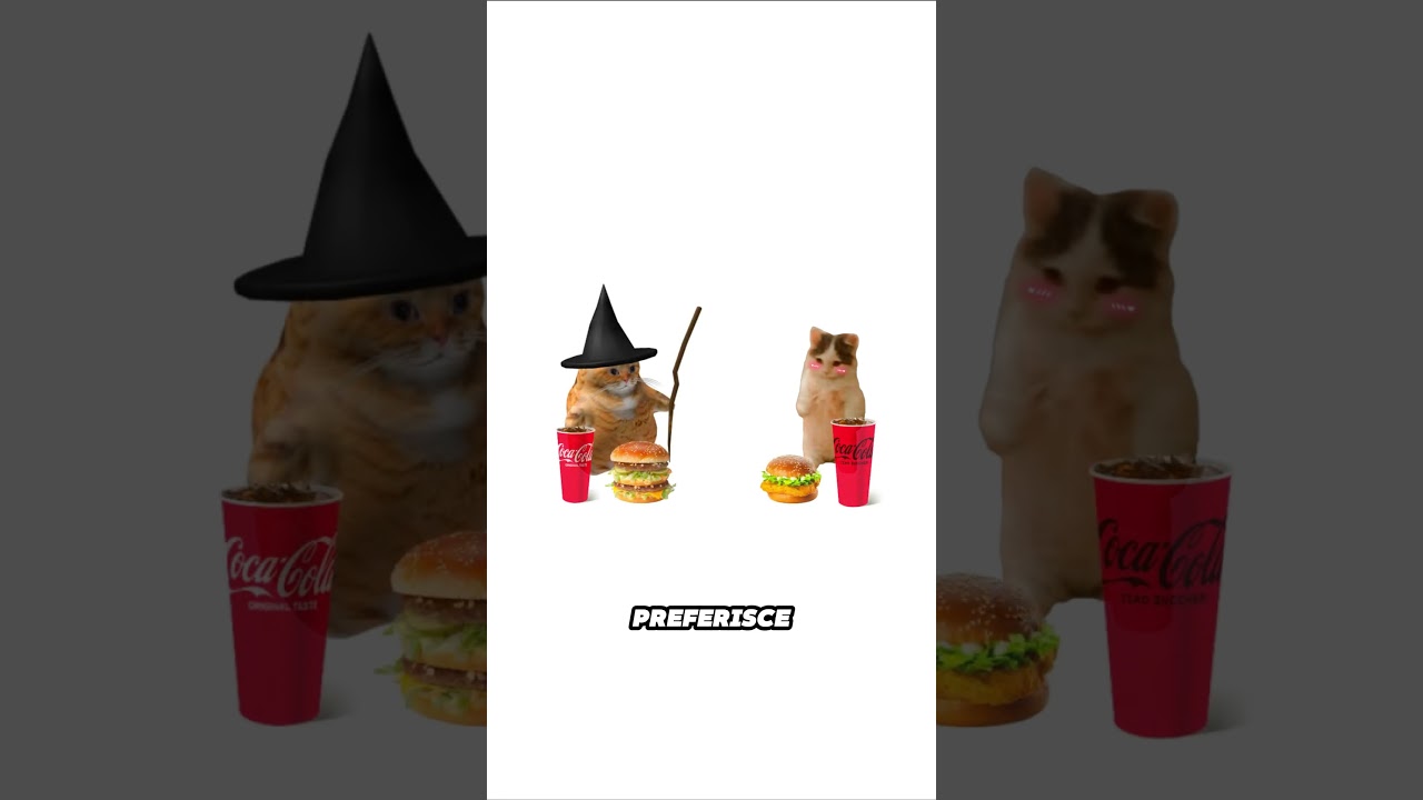 Estroversi spiegati dai gatti (Grattino)