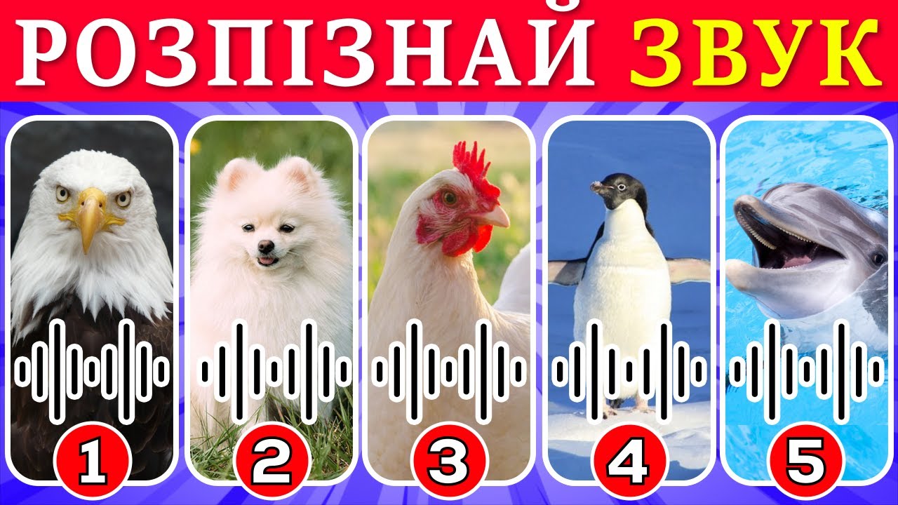 🐾 ВГАДАЙ ТВАРИНУ за звуком | Українською мовою 🎧