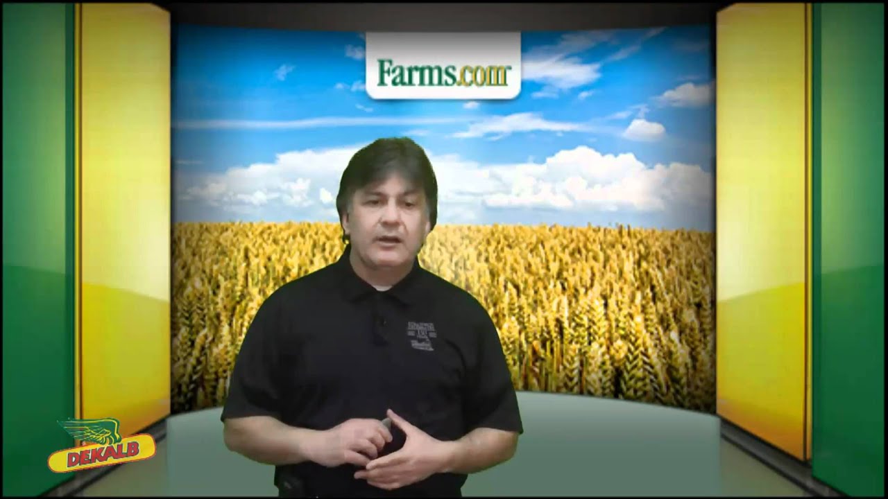 Farms.com Market School: How Currency Markets Influence Grain Prices