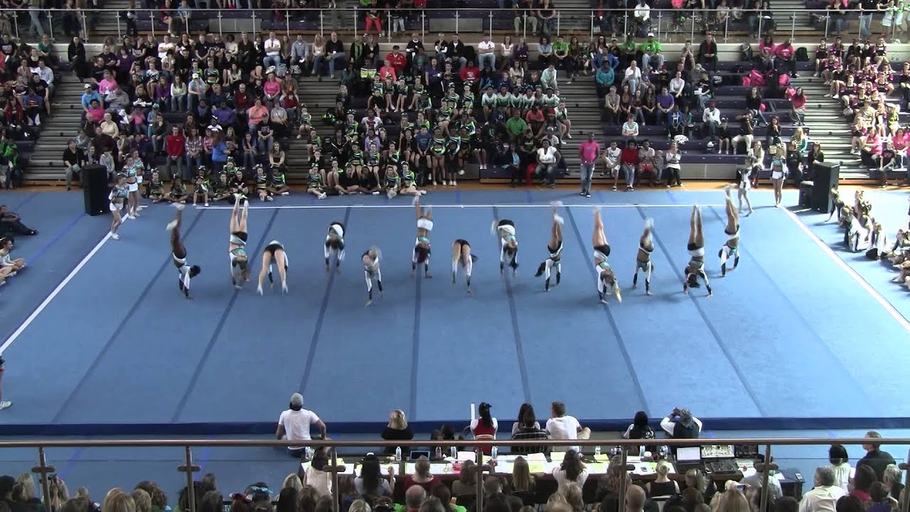 CEA Raleigh SSX
