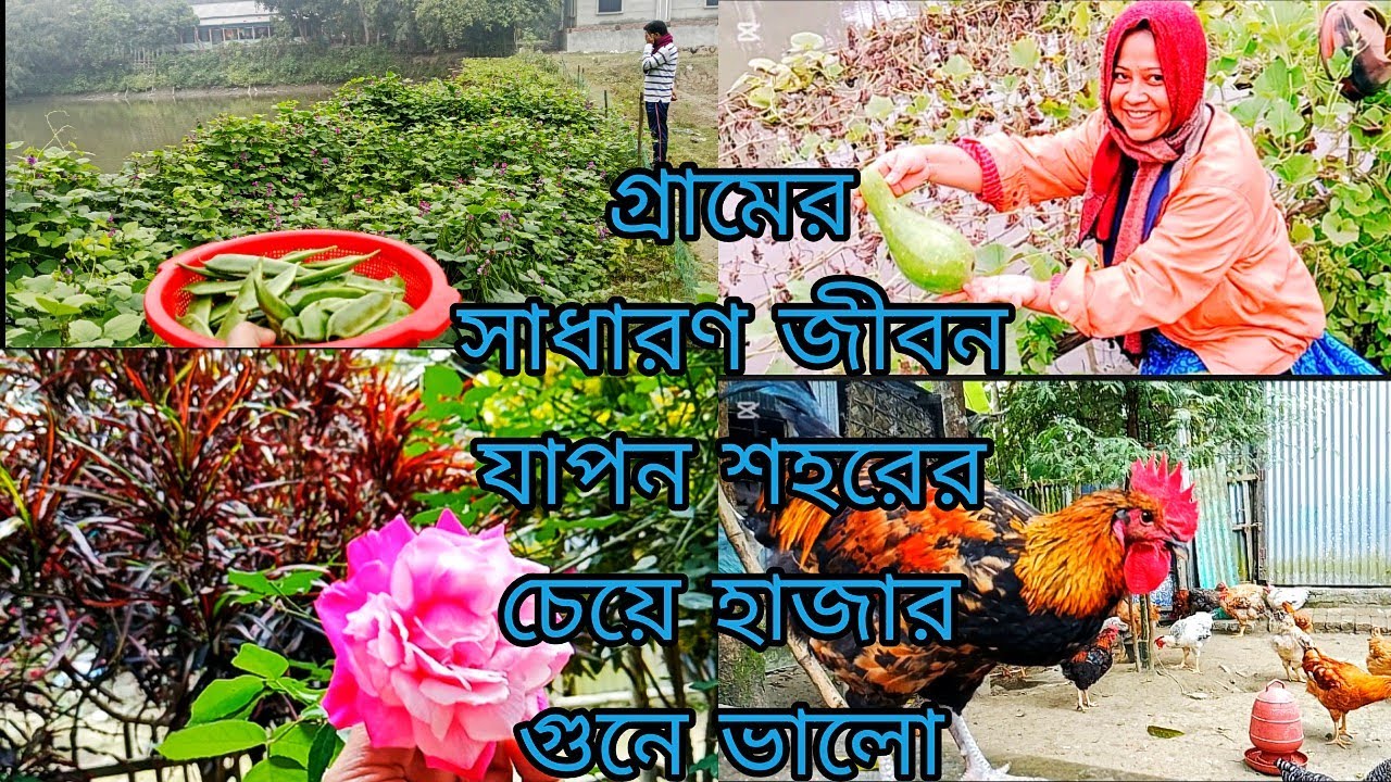 গ্রামে যদি থাকেন অল্প ইনকাম হলেও কিভাবে সুন্দর করে সংসার চালানো যায়। 