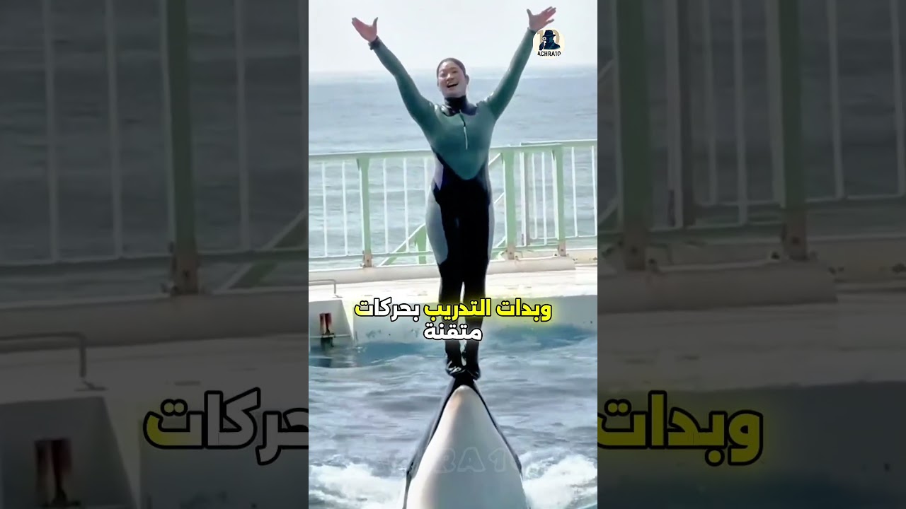 المأساة التي أنهت حياة جيسيكا مدربة الأوركا#جيسيكا #حوت_الأوركا #قصة_حقيقية #مأساة #مدربة