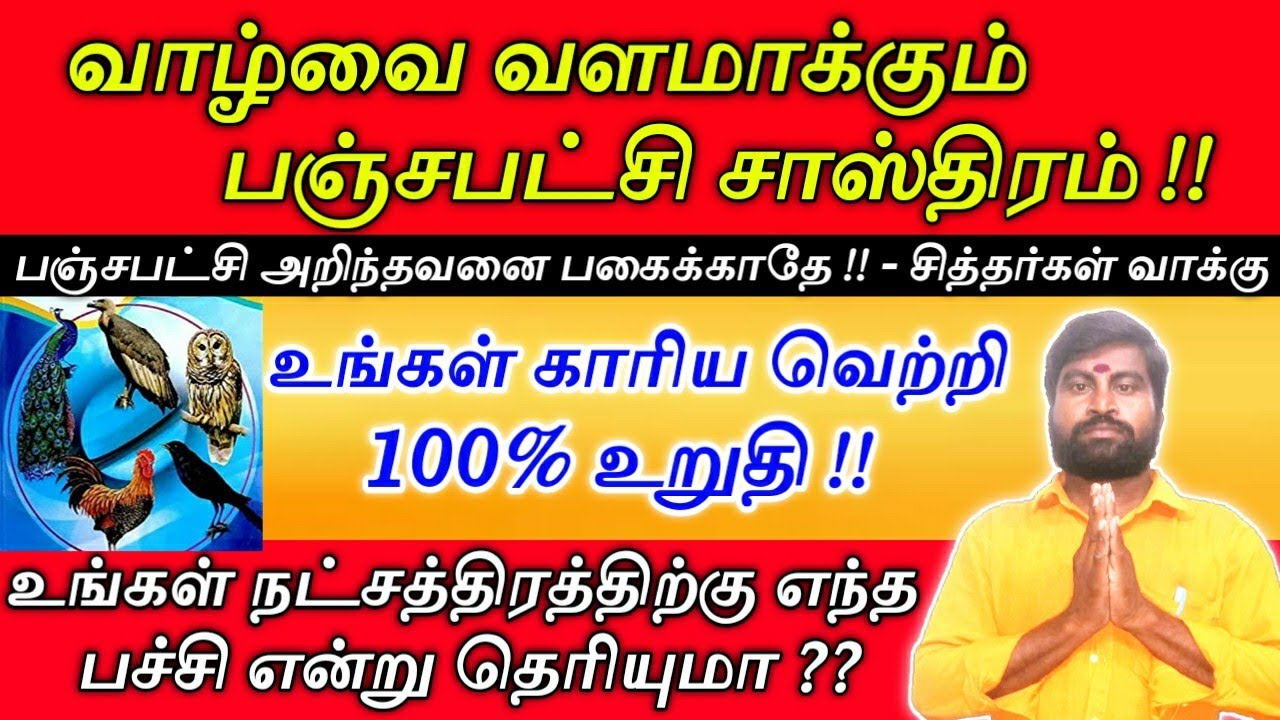 வாழ்வை வளமாக்கும் பஞ்சபட்சி சாஸ்திரம் பார்ப்பது எப்படி | Panchapatchi sastram parpathu eppadi tamil