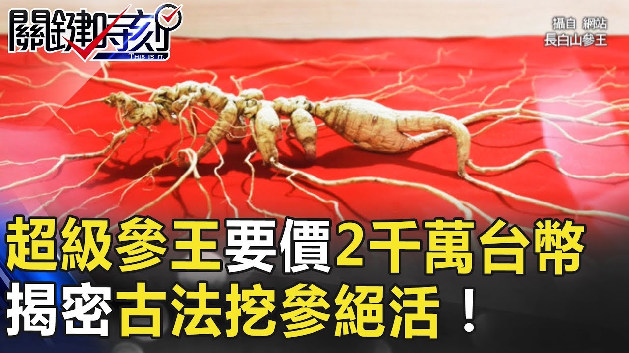 人參也選美？超級「參王」要價2千多萬台幣 揭密古法「挖參」絕活！ 關鍵時刻 20180629-3 劉燦榮