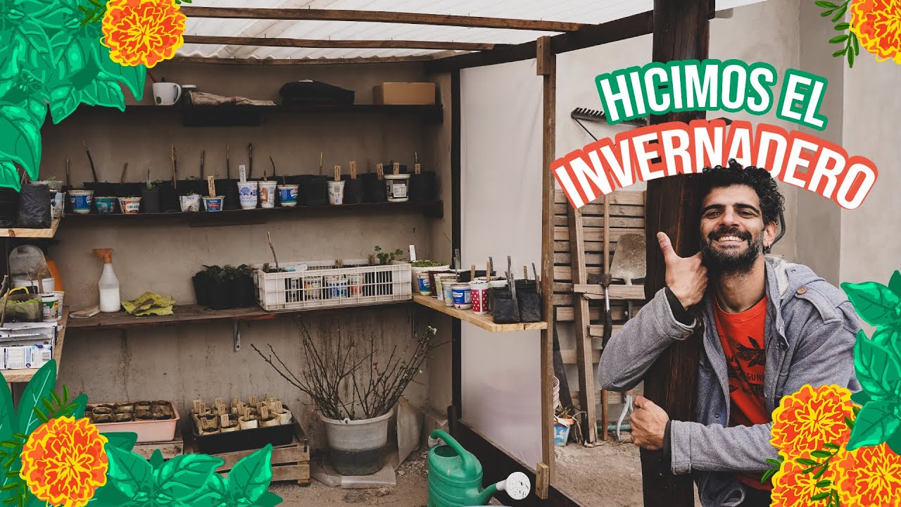 Hicimos un INVERNADERO en tiempo récord | Rápido y sencillo
