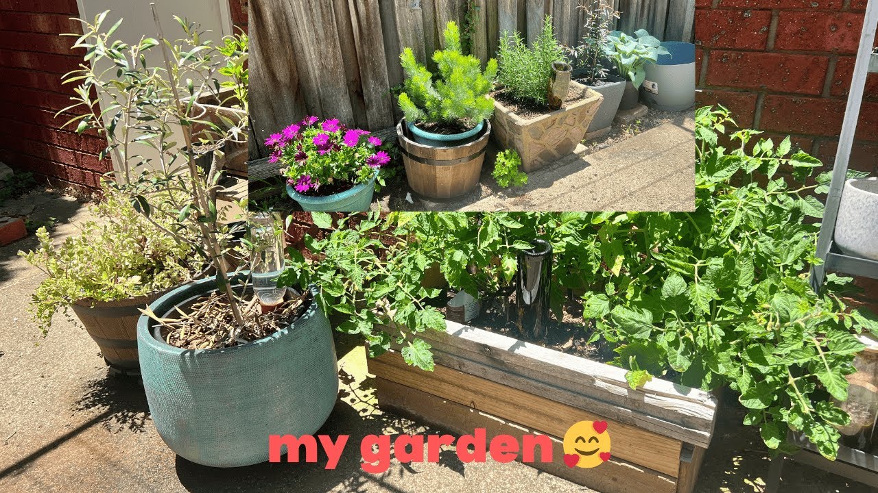 my garden [ASMR]⋆｡˚🌿•✧˖°🧚🏻｡𖦹⋆🍃✧°.