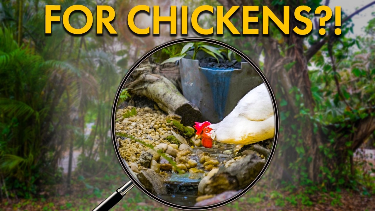 I Built a Backyard Ecosystem For My Chickens
