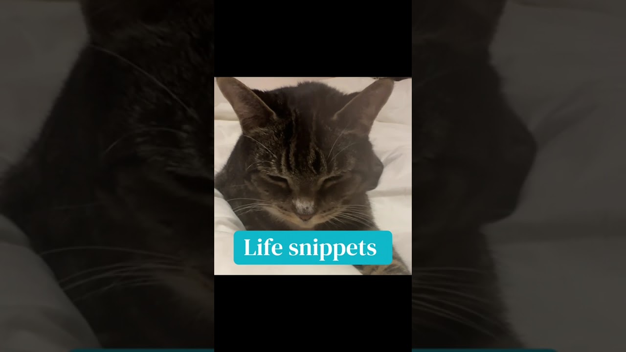 LIFE SNIPPETS 