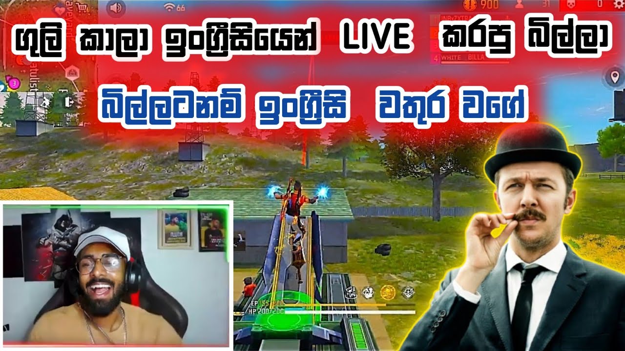 💥 බිල්ලා ගුලි කාලා ඉංග්‍රීසියෙන් Live කරනවා දැකලා තියනවද 😂 | billa live #billalive #billaathal